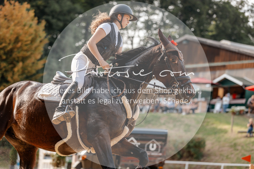 3I6A4856 | Stimmungsvolle Portraits und Reitsportfotografie im Ruhrgebiet und im Münsterland.

Pferdefotografie, Hundefotografie, Tierfotografie, Reportagen, Portraits von Tier und Mensch, Turnierfotografie in Bochum, Recklinghausen, Marl, Haltern am See, Dülmen.. - Realisiert mit Pictrs.com
