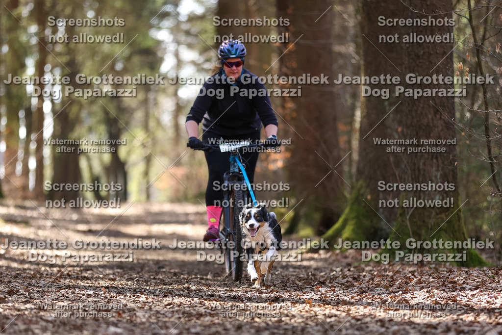 Dog Paparazzi - VCC26-1400 | Dog Paparazzi Jeanette Grottendiek Fotografie & Videografie - Realisiert mit Pictrs.com