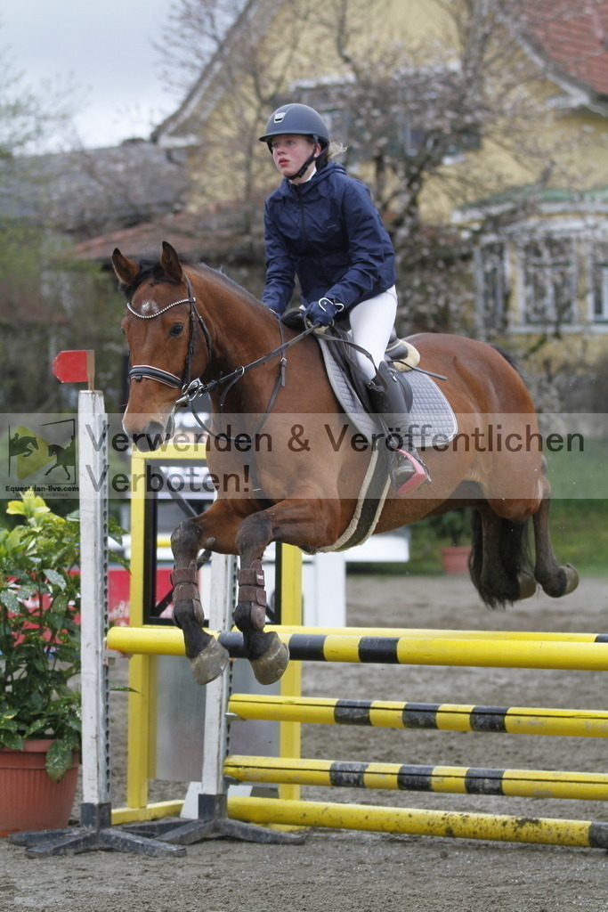 _MG_3502 | equestrian-live-com