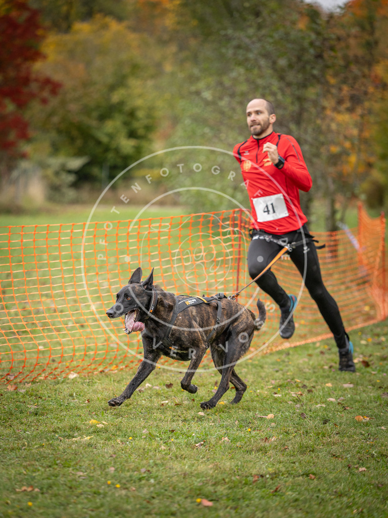 Pfotenfotografie_DV3A2307 | Hundefotografie, Tierfotograf, Pfotenfotografie, Fotoshooting Hund, Hunde Portrait, Hundesport, Hundeportraits, Heideshooting, Hunde, Sportfotograf, Hundefotograf, Turnierhundsport, THS,  - Realisiert mit Pictrs.com
