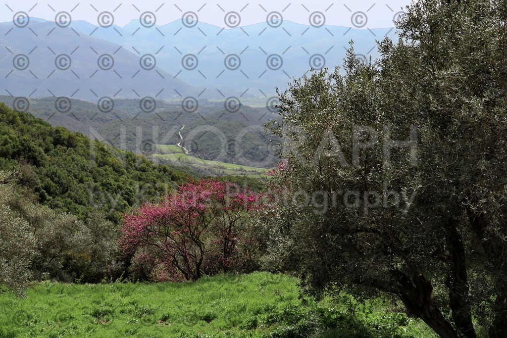 Kato Palaiokklision | Das Dorf Kato Palaiokklision (Κάτω Παλαιοκκλήσι) liegt in der Präfektur Thesprotia (Θεσπρωτία) der Region Epirus (Ήπειρος) im Nordwesten Griechenlands. Laut Zensus 2011 hat Kato Palaiokklisi rund 50 Einwohner. Kato Palaiokklisi gehört der Gemeinde Filiates an.