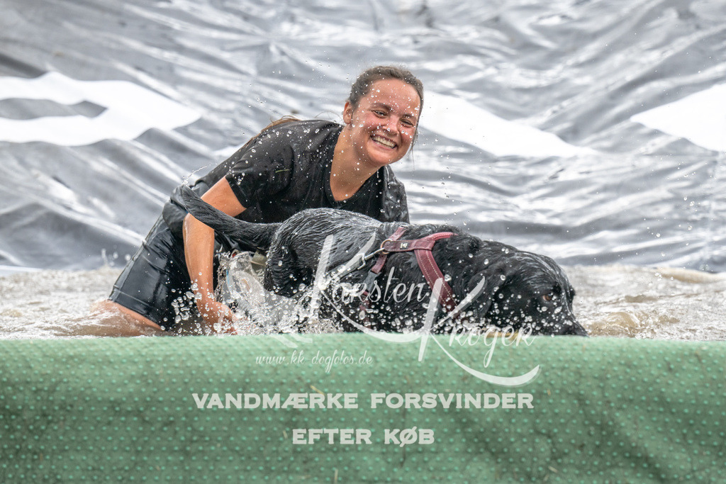 1415_ZZ94861 | kk-dogfotos