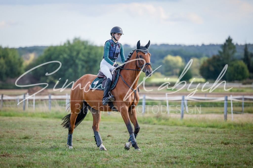 20250905-_3LI2256 | Tierfotografie Pferde, Hunde, Katzen, Haustiere.
Turnierfotografie Reitturniere, Reiten, Springreiten, Dressur in Hanau, dem Main-Kinzig-Kreis und dem Rhein-Main- Gebiet um Frankfurt