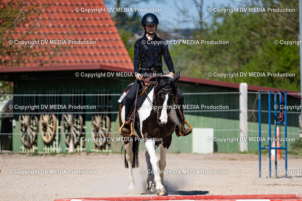 Balingen Tag 1-1071 | dv-media-shop - Realisiert mit Pictrs.com