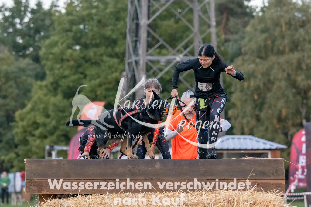 0801_ZZ93864-Bearbeitet | kk-dogfotos