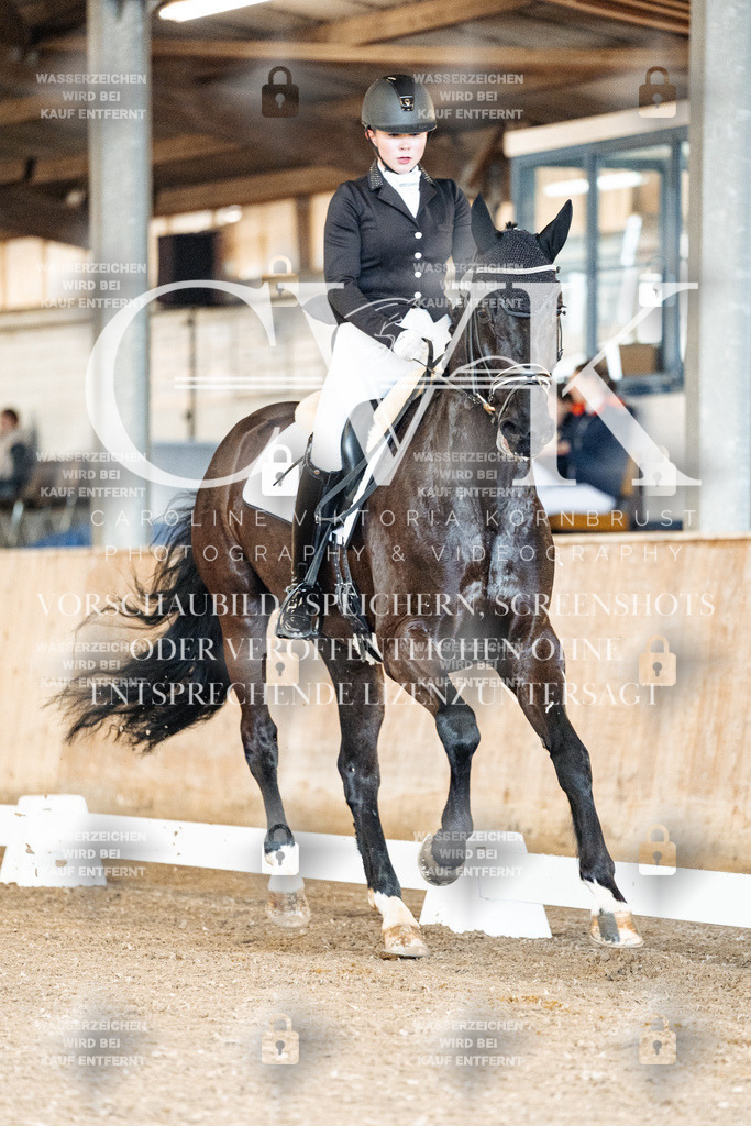 CK900698 | Turnierfotografie Pferdefotografie Trier Rheinland-Pfalz Pferdesport Reitsport Tierfotografie Sportfotografie Pferdevideo Pferdevideografie Equestrianvideography equestrianphotography  - Realized with Pictrs.com
