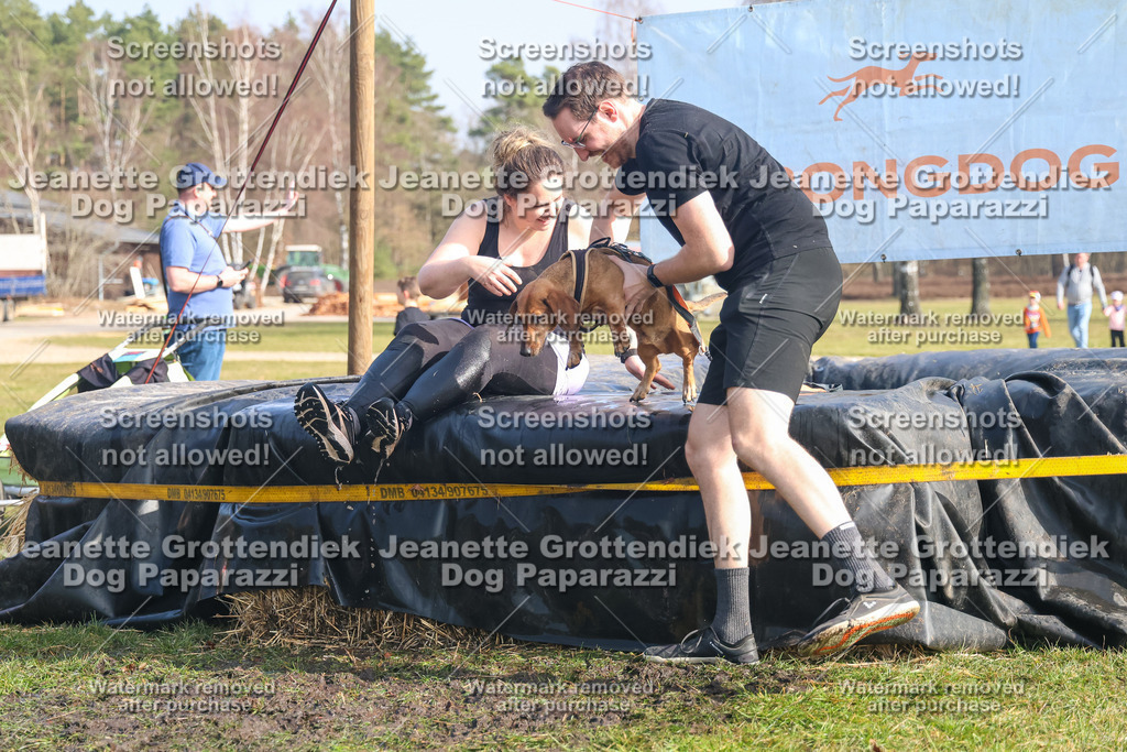 Dog Paparazzi - Strongdog North Mrz26-2082 | Dog Paparazzi Jeanette Grottendiek Fotografie & Videografie - Realisiert mit Pictrs.com