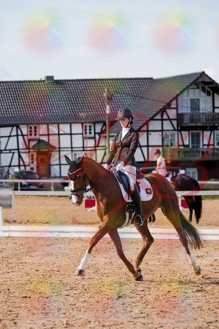 2026_10_03_Siefer-Hof_132955_Z63_91673391 | Professionelle Reitsport-, Turnier- und Eventfotografie von Robert Broda. Galerien mit ausgewählten und bearbeiteten Bildern direkt online ansehen und bestellen.
