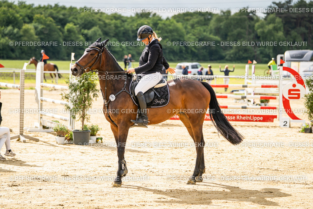 DSC05943 | Pferdegrafie