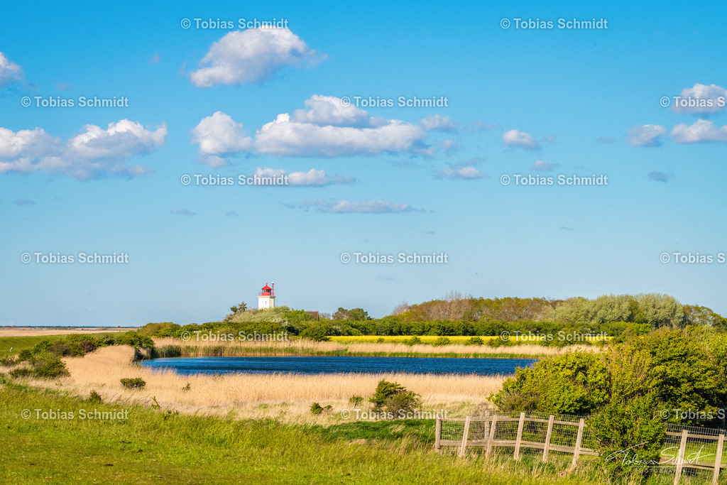 Fehmarn__DSC5830 | Fotoprodukte, Kalender und Wanddeko direkt vom Fotografen auf Fehmarn. Ob Wandbild auf Alu-Dibond, hinter Acrylglas oder auf Leinwand – hier können Sie Ihr Lieblingsbild kaufen. - Realisiert mit Pictrs.com