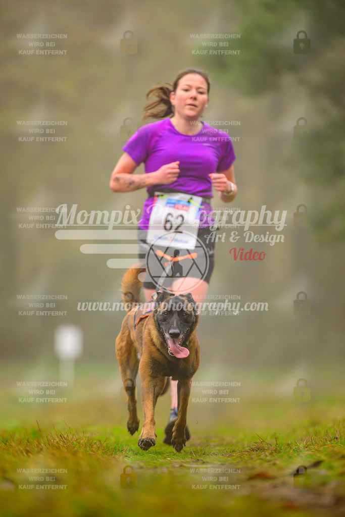 MompixPhotography_Bischwiller2025_Canicross-79 | mompixphotography