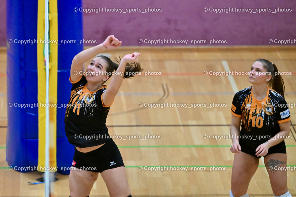 ASKÖ Volley Eagles Villach vs. VC Hausmannstätten | #11 Ilvie HOFER ASKÖ Volley Eagles Villach, #10 СЕНІС Еlwira ASKÖ Volley Eagles Villach, ASKÖ Volley Eagles Villach vs. VC Hausmannstätten, ASKÖ Volley Eagles Villach vs. VC Hausmannstätten am 01.02.2025 in Villach (Ballspielhalle Lind), Austria, (Photo by Bernd Stefan)