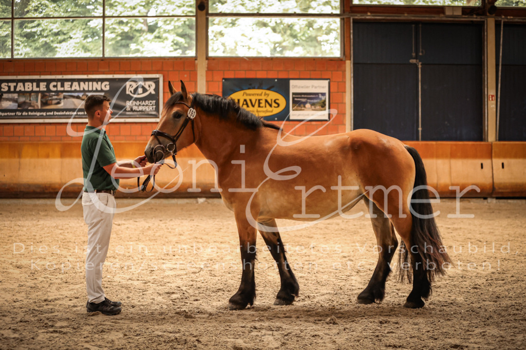 SaFL00287 | Leoni Ertmer Photography - Realisiert mit Pictrs.com