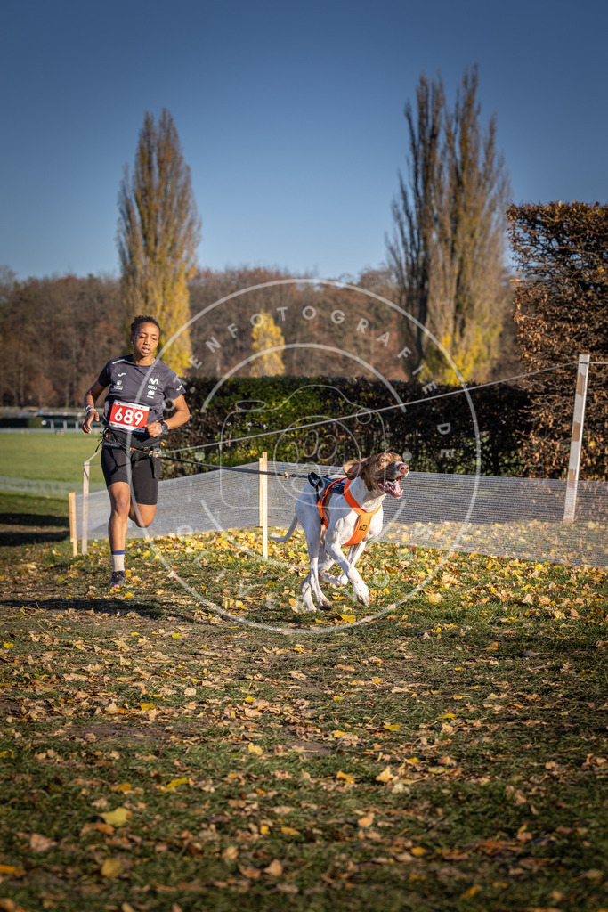 CaniXpix_DV3A1252 | Hundefotografie, Tierfotograf, Pfotenfotografie, Fotoshooting Hund, Hunde Portrait, Hundesport, Hundeportraits, Heideshooting, Hunde, Sportfotograf, Hundefotograf, Turnierhundsport, THS,  - Realisiert mit Pictrs.com