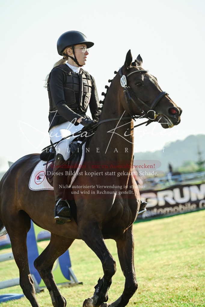 DSC_4219 | Pferde- und Turnierfotografie in Westsachsen. Pferdeportraits, Auftragszeichnungen und intuitive Kunst.
