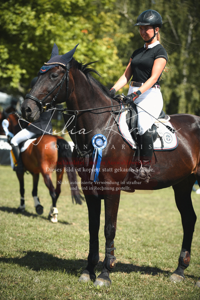 DSC_6819 | Pferde- und Turnierfotografie in Westsachsen. Pferdeportraits, Auftragszeichnungen und intuitive Kunst.
