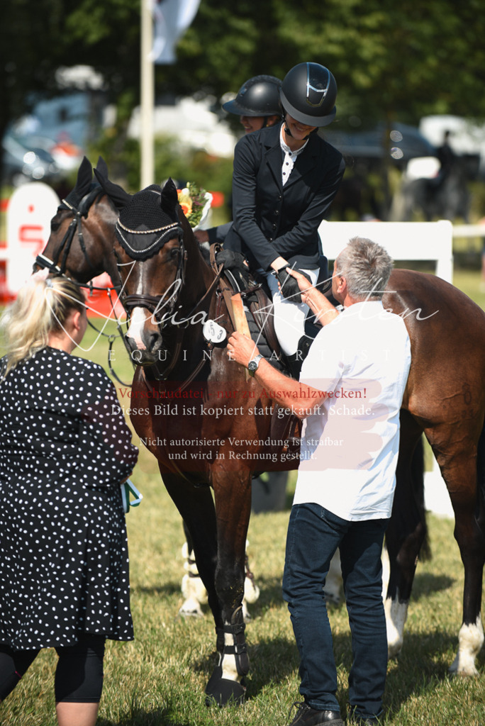 DSC_2620 | Pferde- und Turnierfotografie in Westsachsen. Pferdeportraits, Auftragszeichnungen und intuitive Kunst.