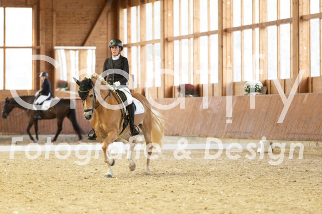 IMG_5904 | Creatify Fotografie