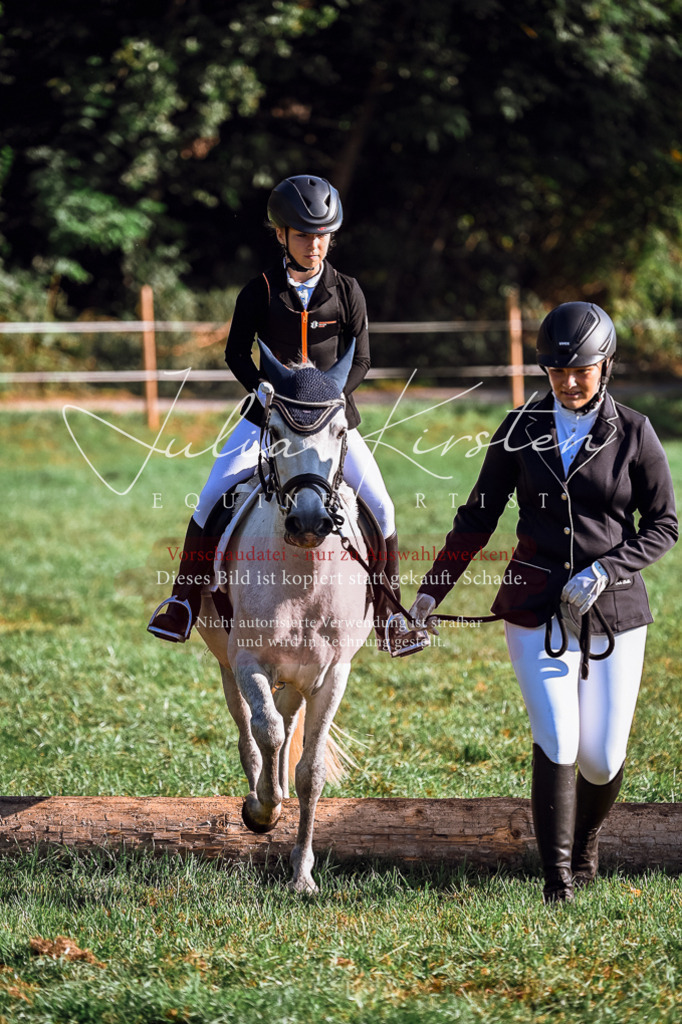 DSC_0413 | Pferde- und Turnierfotografie in Westsachsen. Pferdeportraits, Auftragszeichnungen und intuitive Kunst.