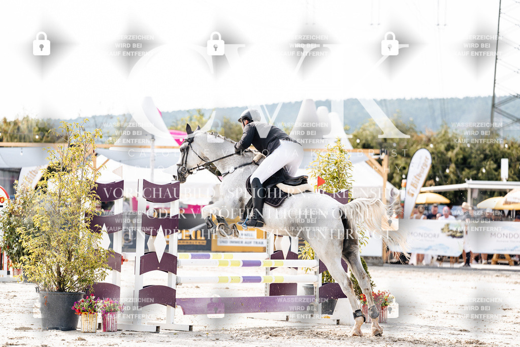 CK905559 | Turnierfotografie Pferdefotografie Trier Rheinland-Pfalz Pferdesport Reitsport Tierfotografie Sportfotografie Pferdevideo Pferdevideografie Equestrianvideography equestrianphotography  - Realisiert mit Pictrs.com