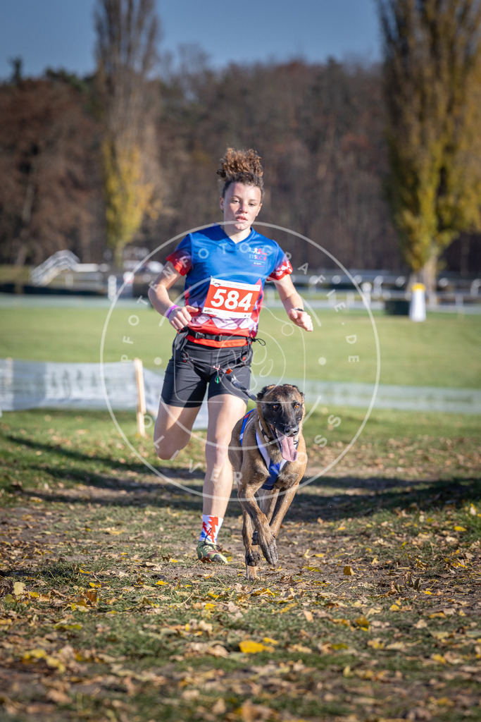 CaniXpix_DV3A9125 | Hundefotografie, Tierfotograf, Pfotenfotografie, Fotoshooting Hund, Hunde Portrait, Hundesport, Hundeportraits, Heideshooting, Hunde, Sportfotograf, Hundefotograf, Turnierhundsport, THS,  - Realisiert mit Pictrs.com