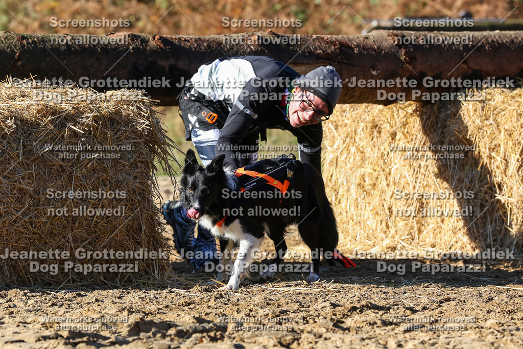 Dog Paparazzi - Strongdog 10-25-1868 | Dog Paparazzi Jeanette Grottendiek Fotografie & Videografie - Realisiert mit Pictrs.com
