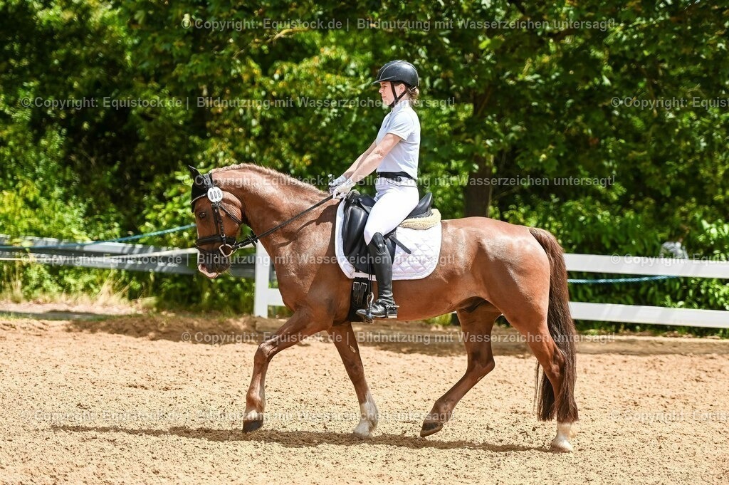 20230715_05_Dressurprüfung Kl.A++_0196 | equistock