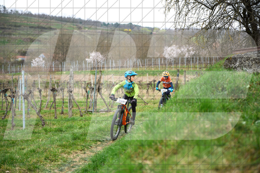 34. KTM Kamptal Trophy  | ZÖBING, Österreich – 2026-03-28: 34. KTM Kamptal TrophyFoto: © 2026 Martin Bihounek - MB Creative e.U.