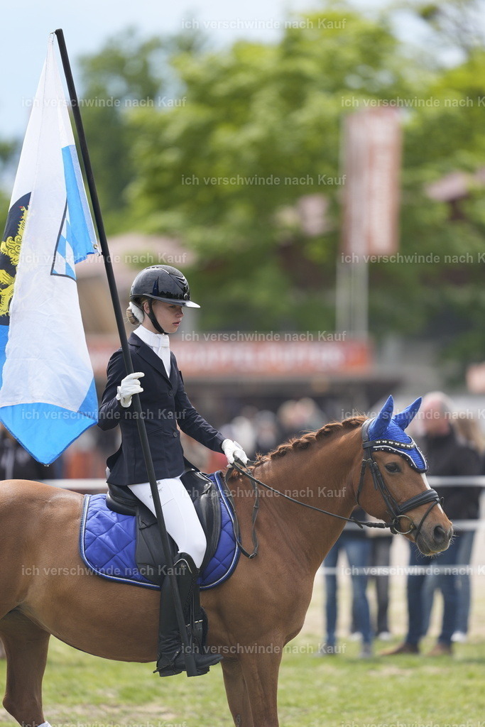 PI26_SHOW_Stoibphotography_DSC6744.JPG | working equitationturnier fotograf videograf stoibphotography marixx film working equitation deutschland reitsport turnierfotografie eventfotografie equestrian events
