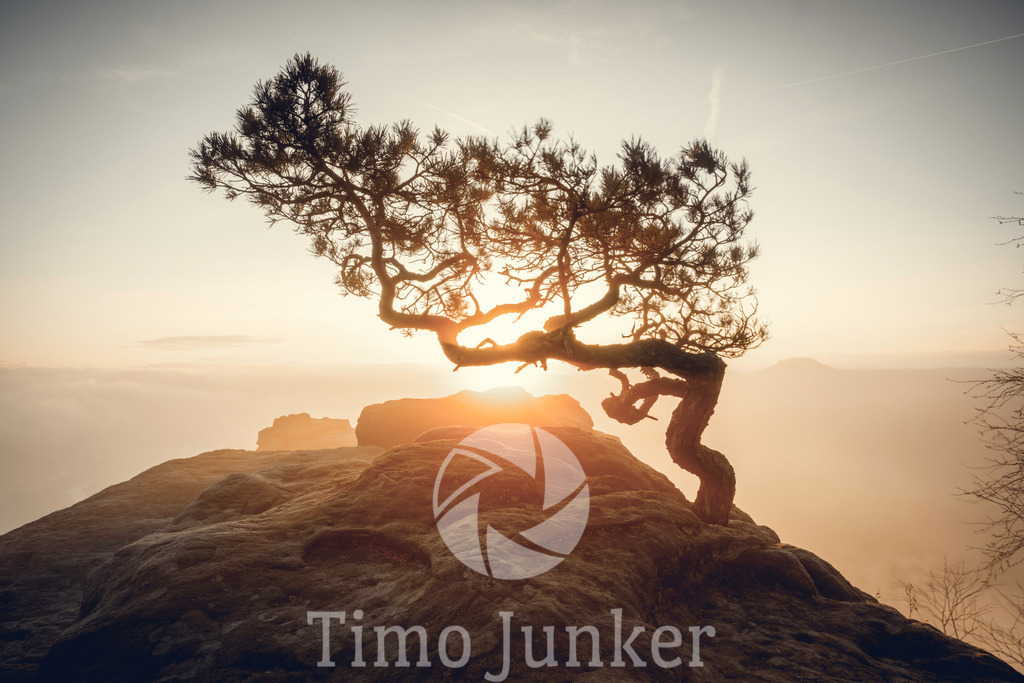 Shop_Landscapes-4512 | junker-foto - Realisiert mit Pictrs.com