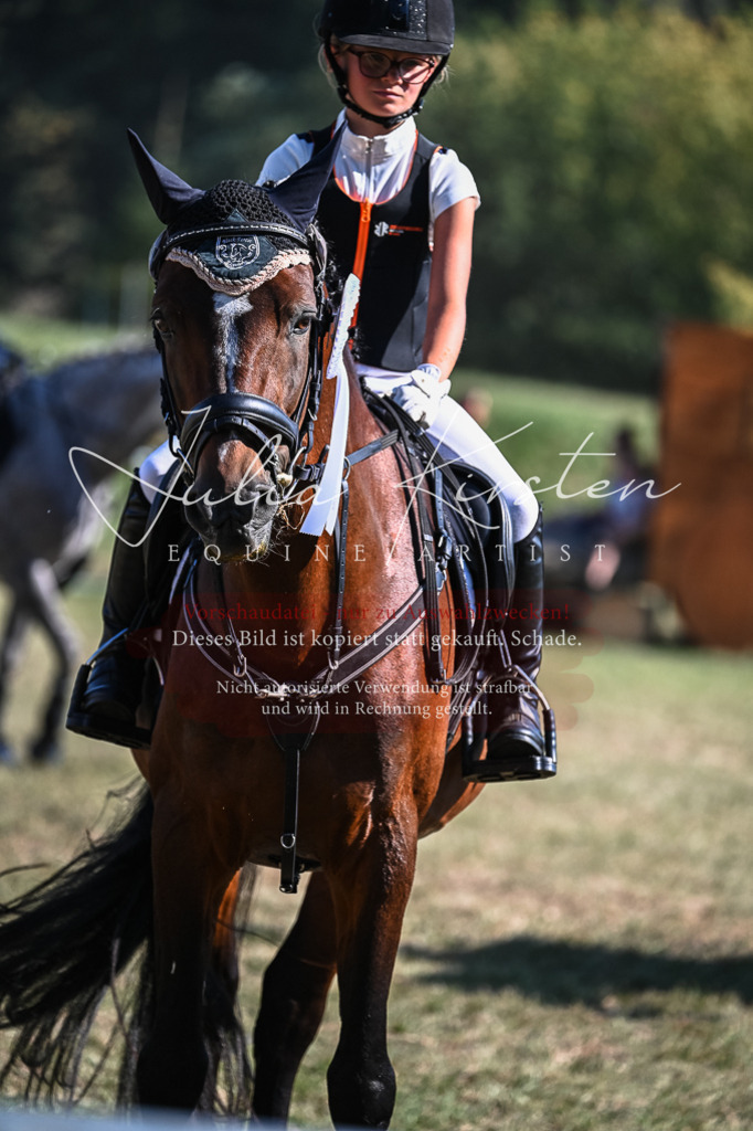 DSC_7014 | Pferde- und Turnierfotografie in Westsachsen. Pferdeportraits, Auftragszeichnungen und intuitive Kunst.