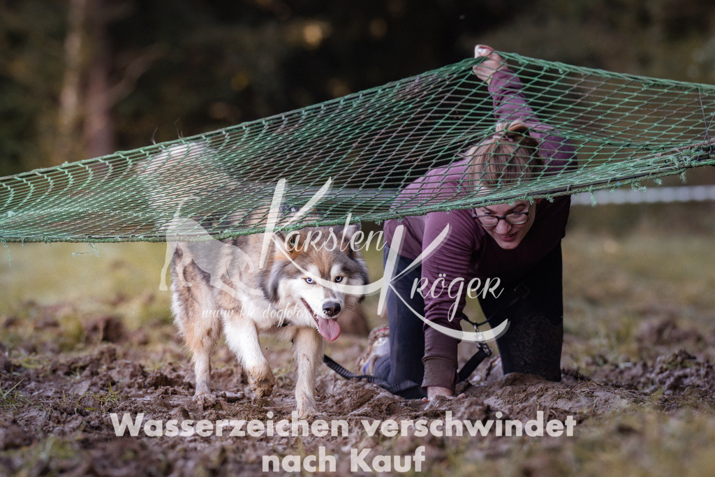 1029_ZZ91603 | kk-dogfotos