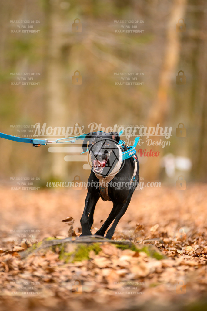 MompixPhotography_Habay2025_SA_Bike-68 | PayLife