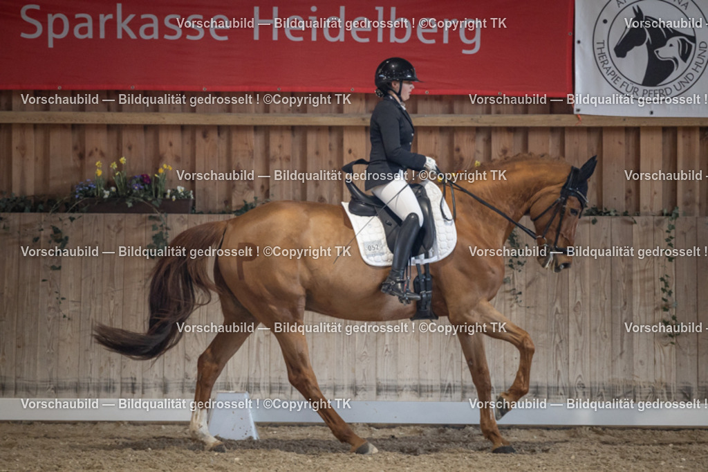 _D5A4748 | Emotionale Pferde- & People-Fotografie rund um Heidelberg, Leimen & Umgebung. Natürliche Fotos von Pferd, Mensch & Familie. Jetzt Termin sichern!