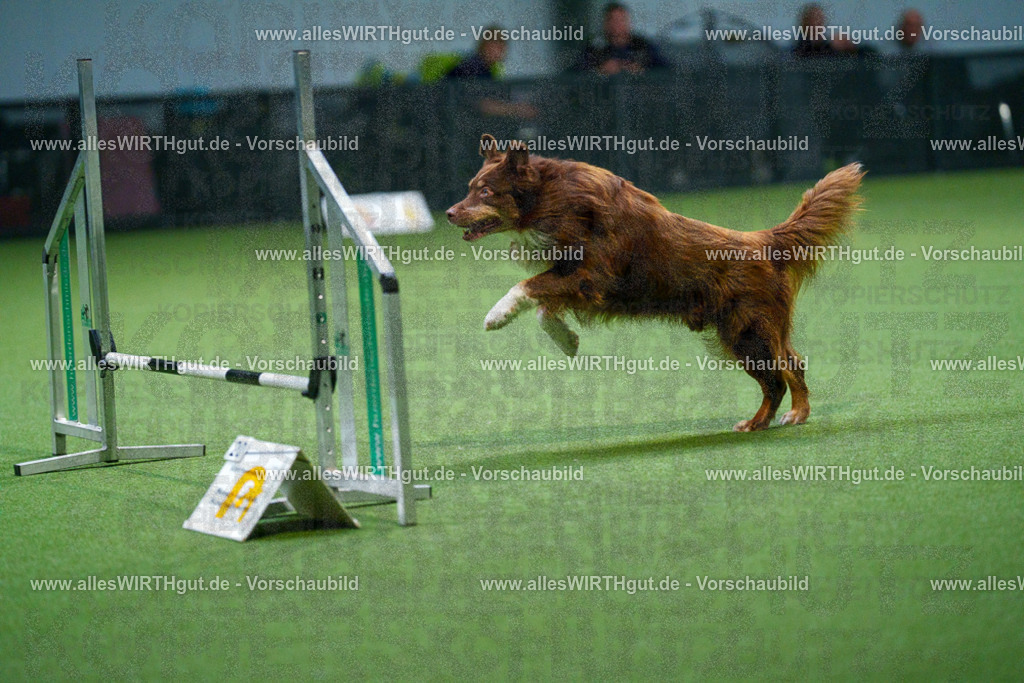 7R500876 | Professionelle Tierfotografie in Mönchengladbach von Daniel Wirth (allesWIRTHgut). Liebevolle & natürliche Bilder von Hunden & Katzen für unvergessliche Erinnerungen.