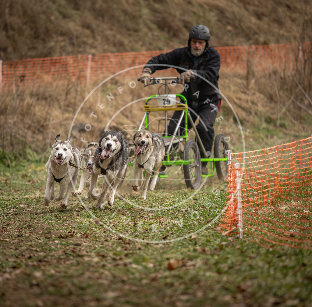 Pfotenfotografie_DV3A8359 | Hundefotografie, Tierfotograf, Pfotenfotografie, Fotoshooting Hund, Hunde Portrait, Hundesport, Hundeportraits, Heideshooting, Hunde, Sportfotograf, Hundefotograf, Turnierhundsport, THS,  - Realisiert mit Pictrs.com
