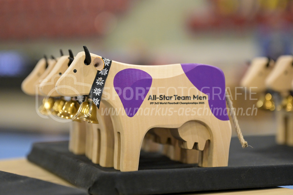 3v3 World Floorball Championships 2025 - Medal Ceremony | Wooden cows for the all star team members, during 3v3 World Floorball Championships 2025, Switzerland: 03.05.2025, Winterthur, AXA ArenaEvent page: <a href="https://www.u19wfc2025.ch/">www.u19wfc2025.ch</a>Credit: Markus Aeschimann, <a href="https://markus-aeschimann.ch">markus-aeschimann.ch</a>Instagram: <a href="https://instagram.com/sportfotografie.aeschimann">@sportfotografie.aeschimann</a> - Realisiert mit Pictrs.com