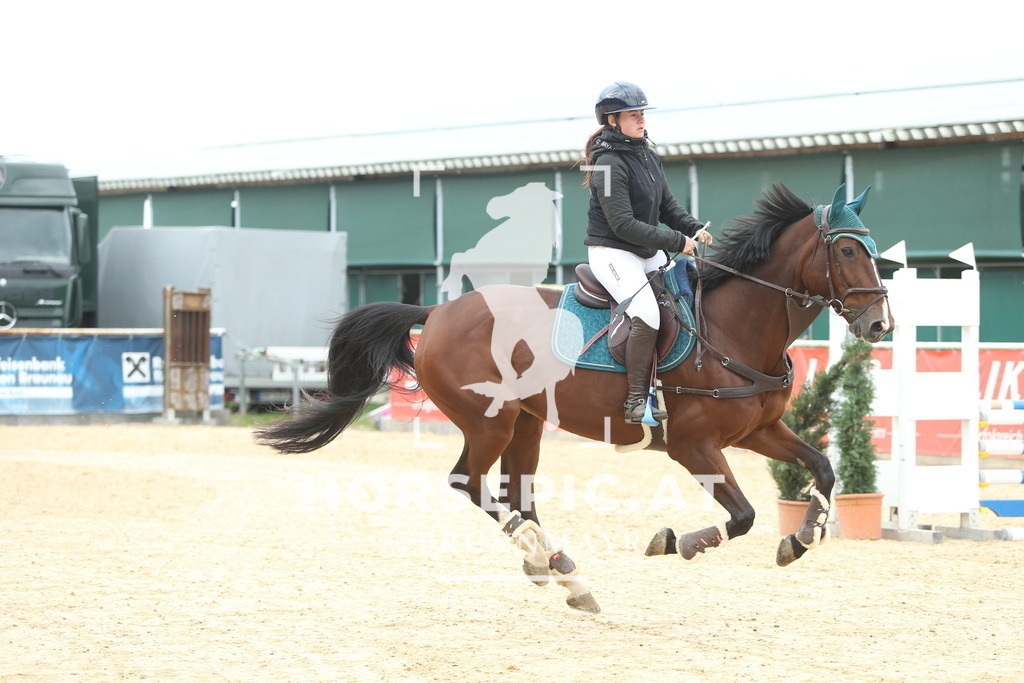 DL2Q6424 | Willkommen bei Brunnmayr - Design & Fotografie – Ihrem Spezialisten für Reitturniere und Pferdeveranstaltungen in Oberösterreich, Salzburg und Bayern! Seit über 17 Jahren sind wir leidenschaftlich dabei.