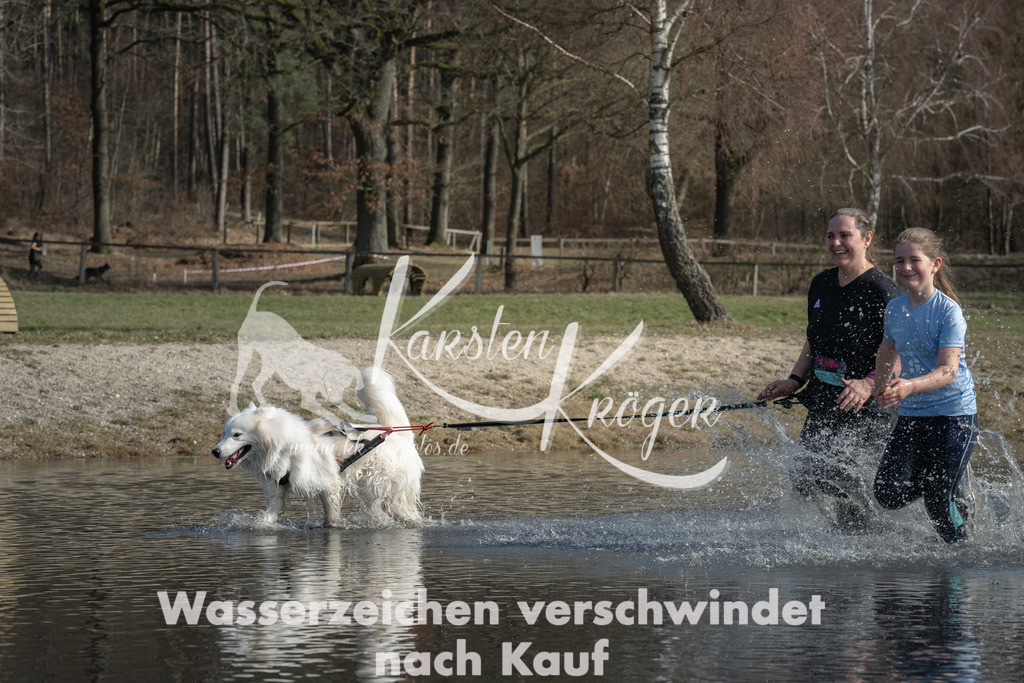 1302_ZZ93991 | kk-dogfotos