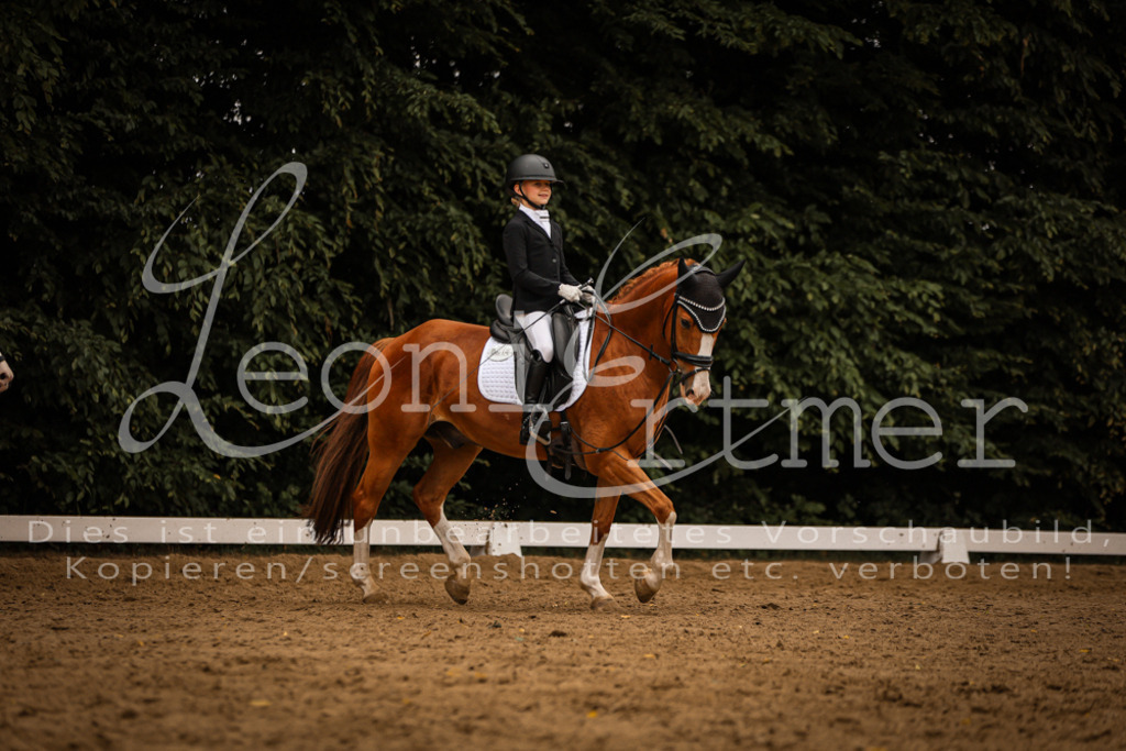 DoDrWB00067 | Leoni Ertmer Photography - Realisiert mit Pictrs.com