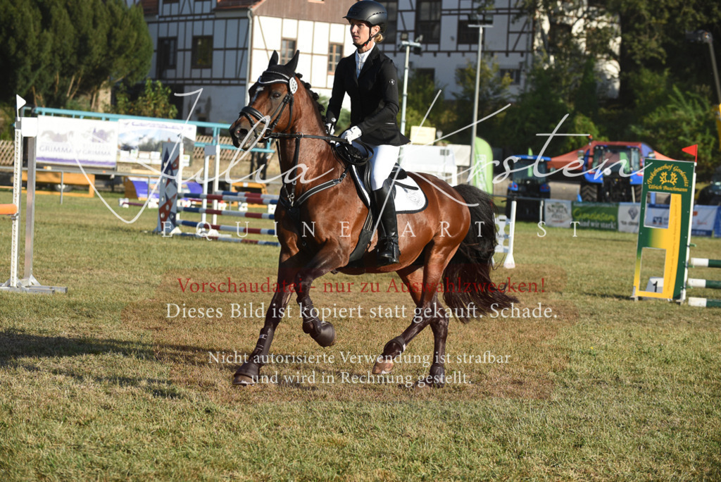 DSC_4925 | Pferde- und Turnierfotografie in Westsachsen. Pferdeportraits, Auftragszeichnungen und intuitive Kunst.