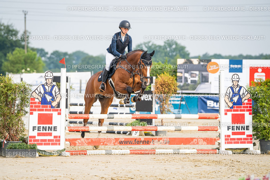 DSC08381 | Pferdegrafie