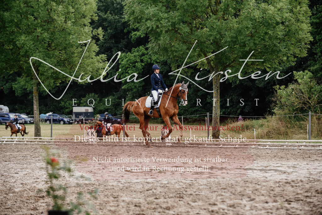 DSC_9940 | Pferde- und Turnierfotografie in Westsachsen. Pferdeportraits, Auftragszeichnungen und intuitive Kunst.