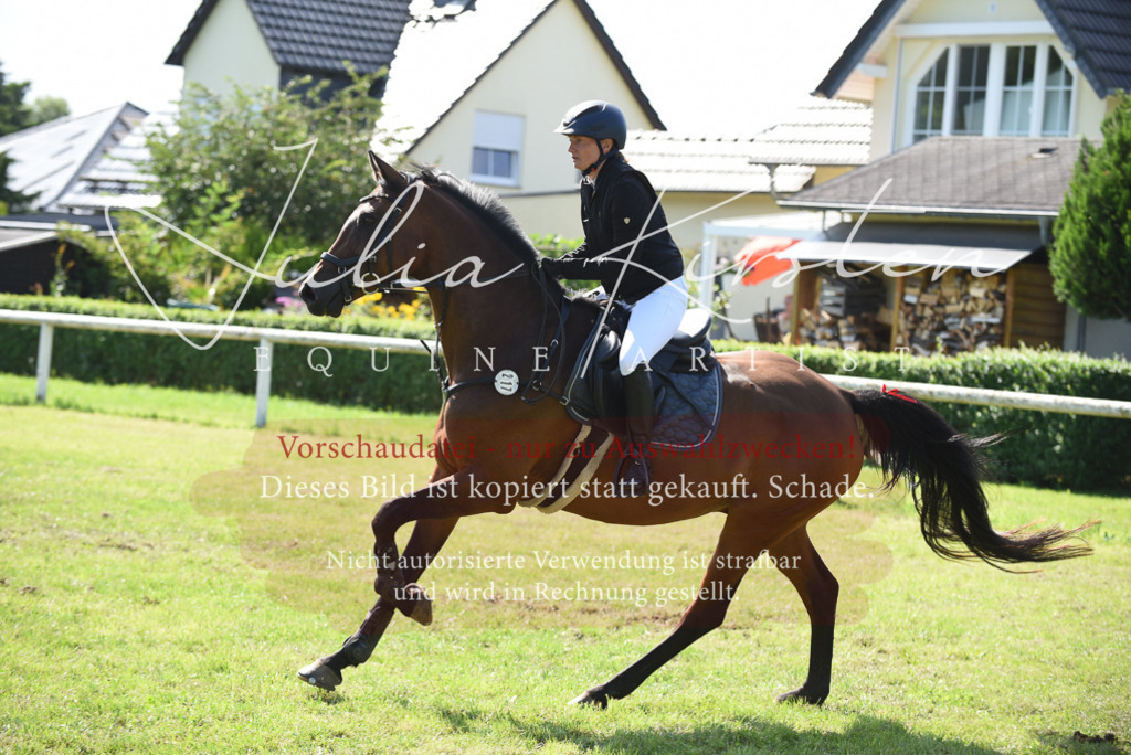 DSC_9095 | Pferde- und Turnierfotografie in Westsachsen. Pferdeportraits, Auftragszeichnungen und intuitive Kunst.