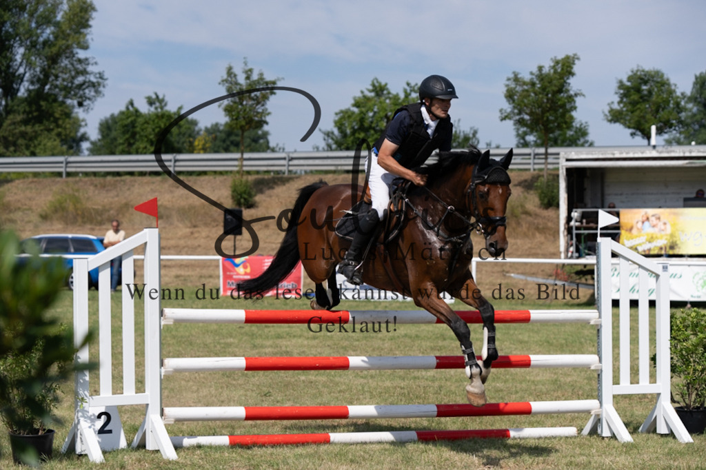 A7V01669 | Pferdefotograf