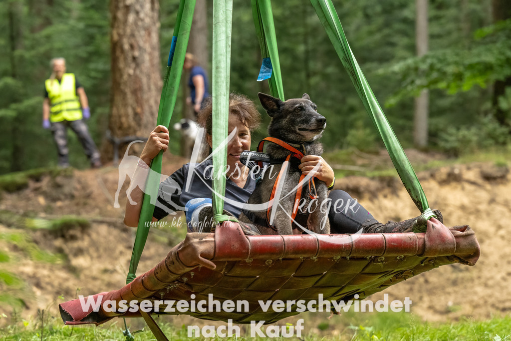 1244_ZZ91726-Bearbeitet | kk-dogfotos