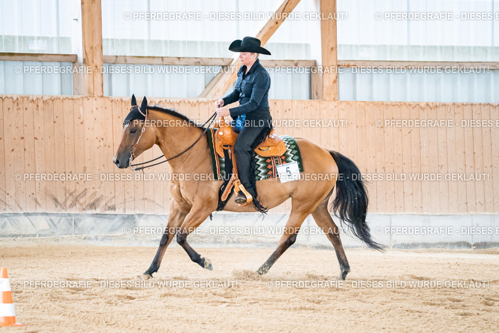 DSC01866 | Pferdegrafie