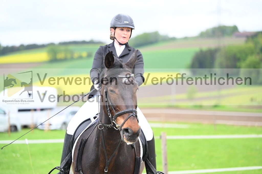 DSC_0082 | equestrian-live-com