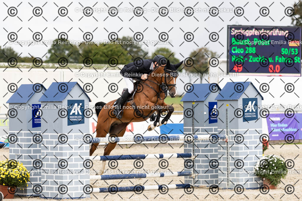 CL5A9793 | Emilia Reinking Fotografie - Realisiert mit Pictrs.com