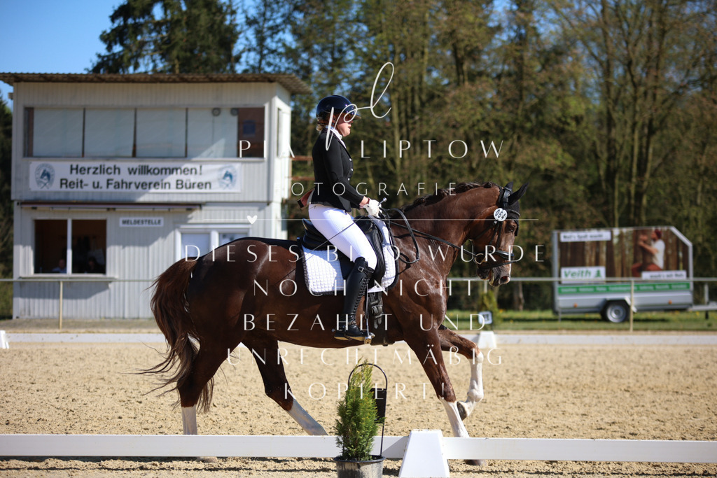 IMGT8846 | pl-fotografie